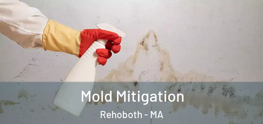  Mold Mitigation Rehoboth - MA