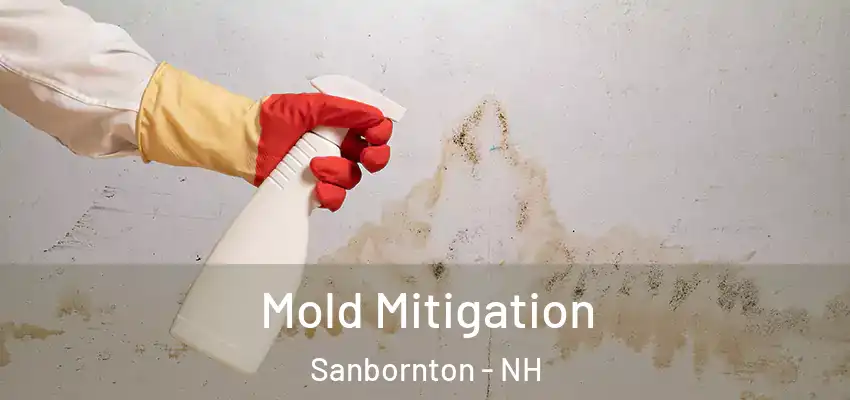 Mold Mitigation Sanbornton - NH