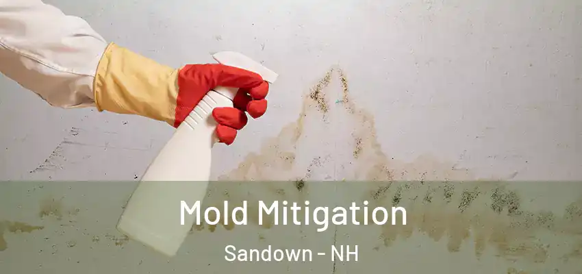 Mold Mitigation Sandown - NH