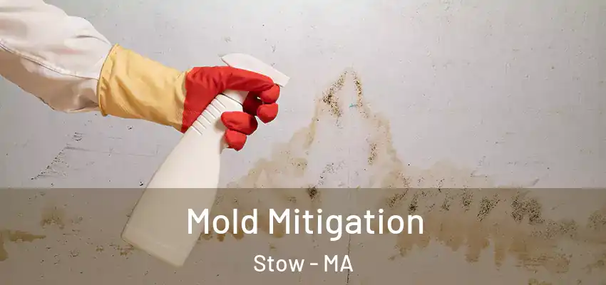  Mold Mitigation Stow - MA