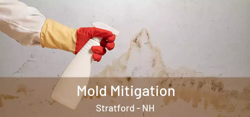 Mold Mitigation Stratford - NH