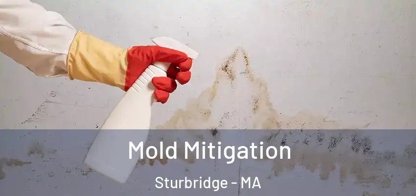 Mold Mitigation Sturbridge - MA