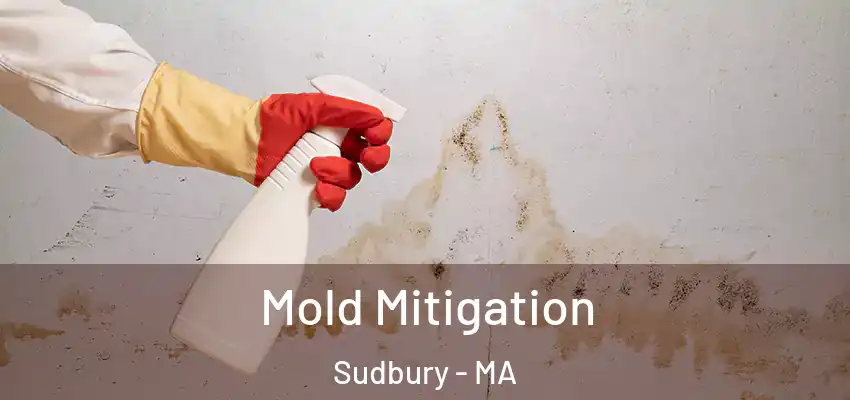 Mold Mitigation Sudbury - MA
