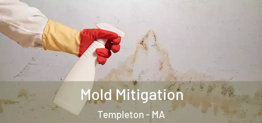 Mold Mitigation Templeton - MA