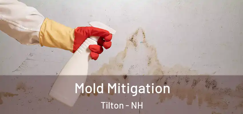 Mold Mitigation Tilton - NH