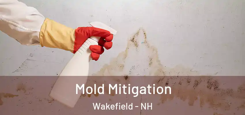 Mold Mitigation Wakefield - NH