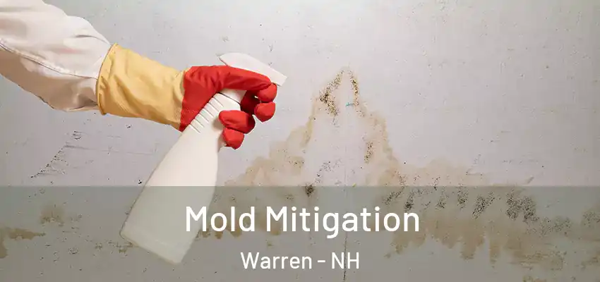  Mold Mitigation Warren - NH