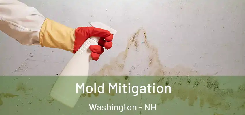  Mold Mitigation Washington - NH