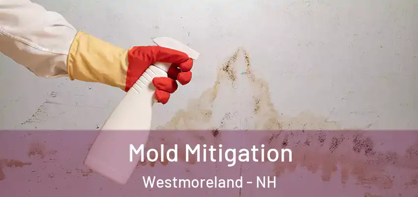  Mold Mitigation Westmoreland - NH