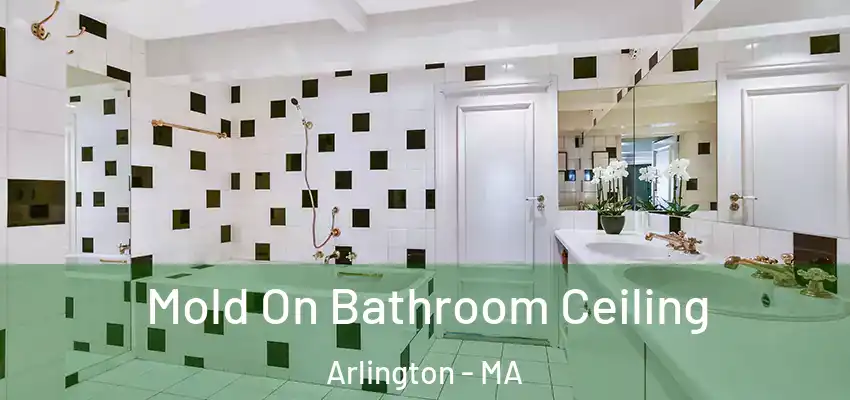 Mold On Bathroom Ceiling Arlington - MA