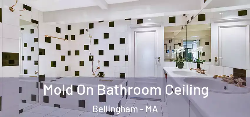 Mold On Bathroom Ceiling Bellingham - MA