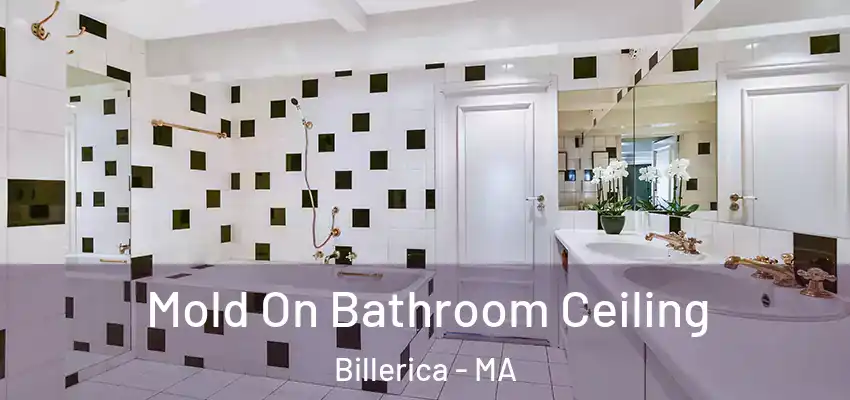 Mold On Bathroom Ceiling Billerica - MA
