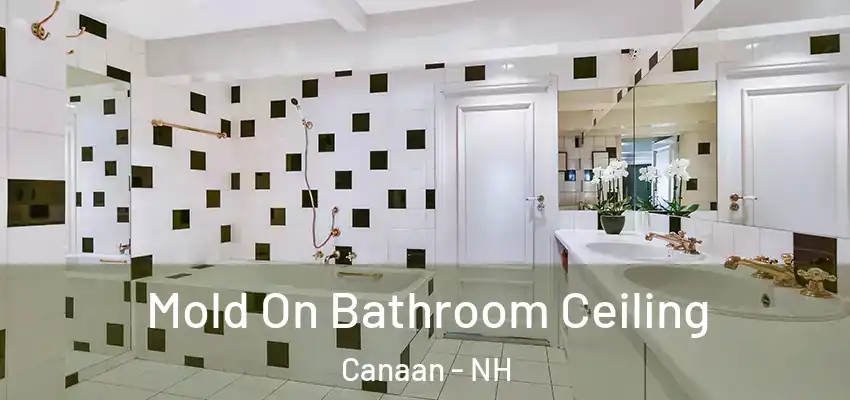 Mold On Bathroom Ceiling Canaan - NH