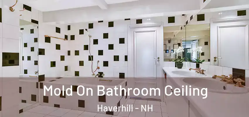 Mold On Bathroom Ceiling Haverhill - NH