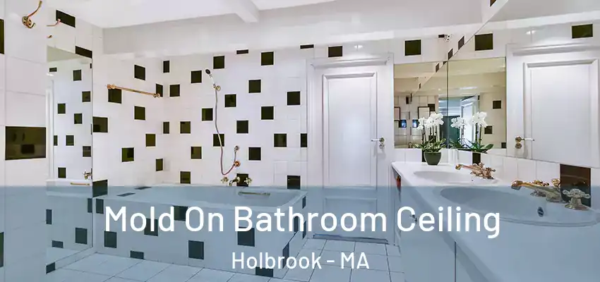  Mold On Bathroom Ceiling Holbrook - MA