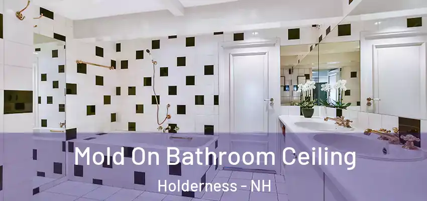  Mold On Bathroom Ceiling Holderness - NH