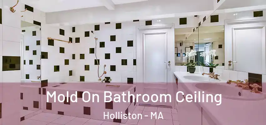  Mold On Bathroom Ceiling Holliston - MA