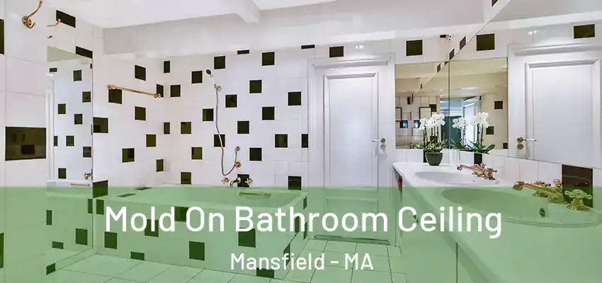  Mold On Bathroom Ceiling Mansfield - MA