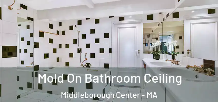  Mold On Bathroom Ceiling Middleborough Center - MA
