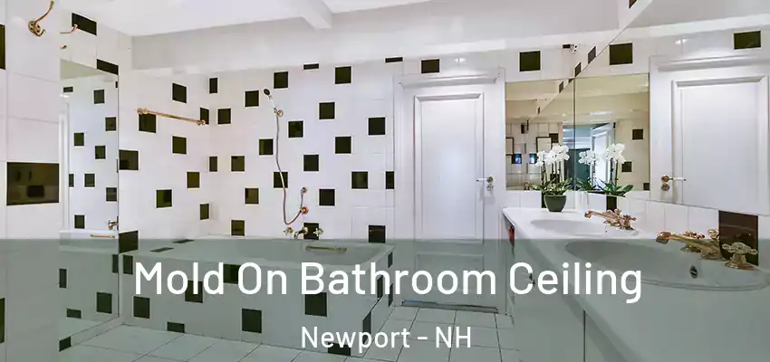 Mold On Bathroom Ceiling Newport - NH
