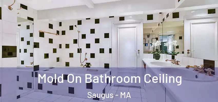  Mold On Bathroom Ceiling Saugus - MA