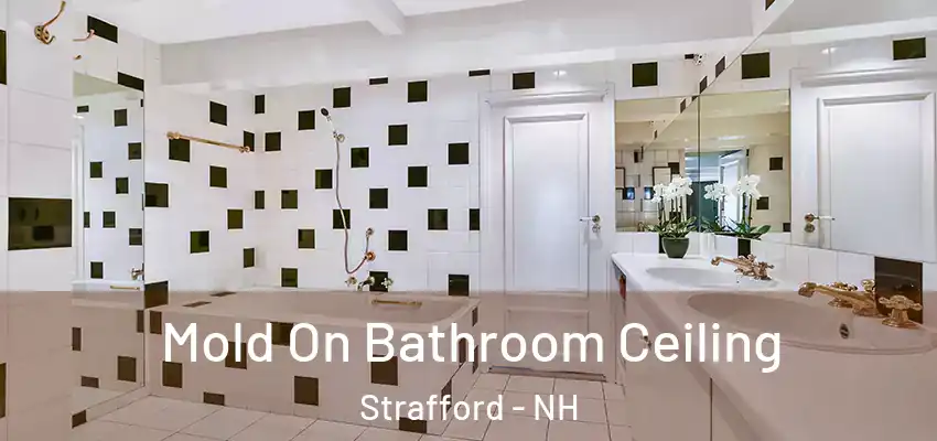  Mold On Bathroom Ceiling Strafford - NH