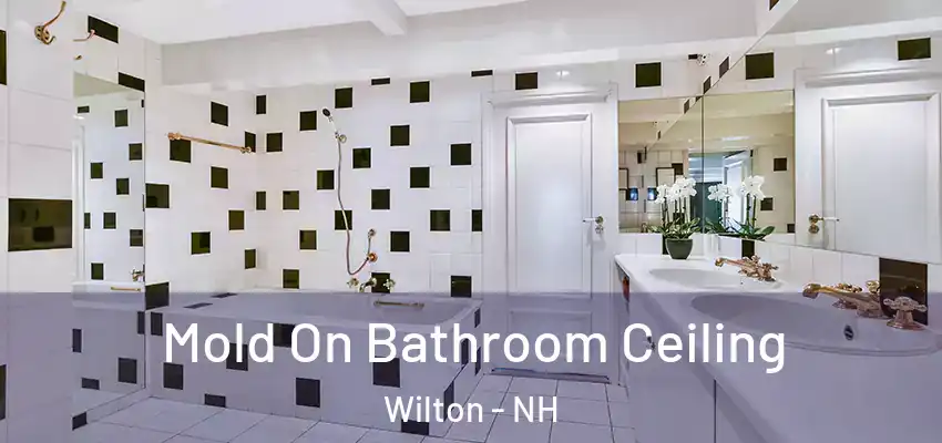  Mold On Bathroom Ceiling Wilton - NH