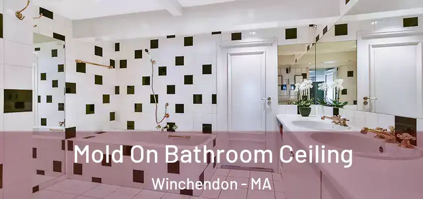  Mold On Bathroom Ceiling Winchendon - MA