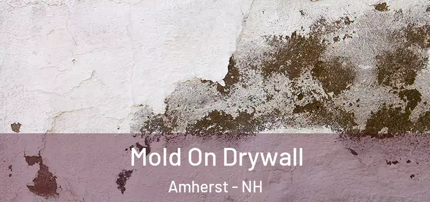 Mold On Drywall Amherst - NH
