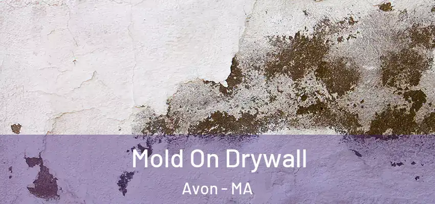  Mold On Drywall Avon - MA