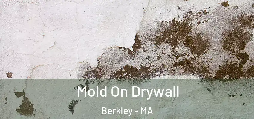 Mold On Drywall Berkley - MA