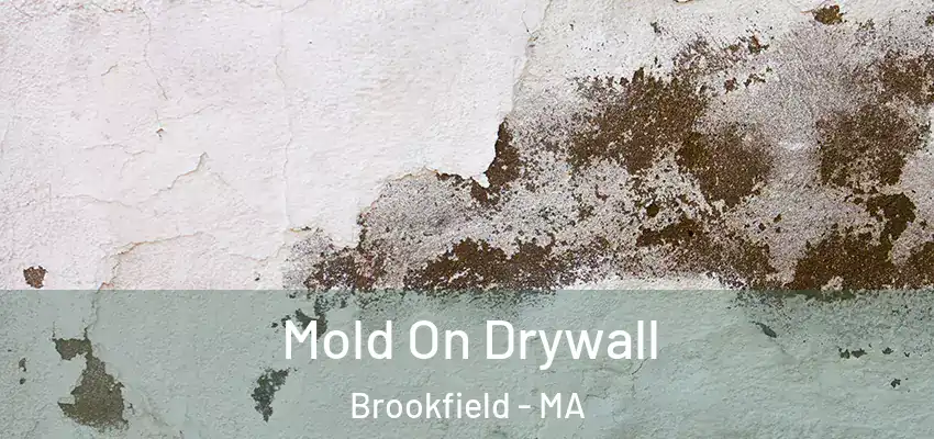 Mold On Drywall Brookfield - MA
