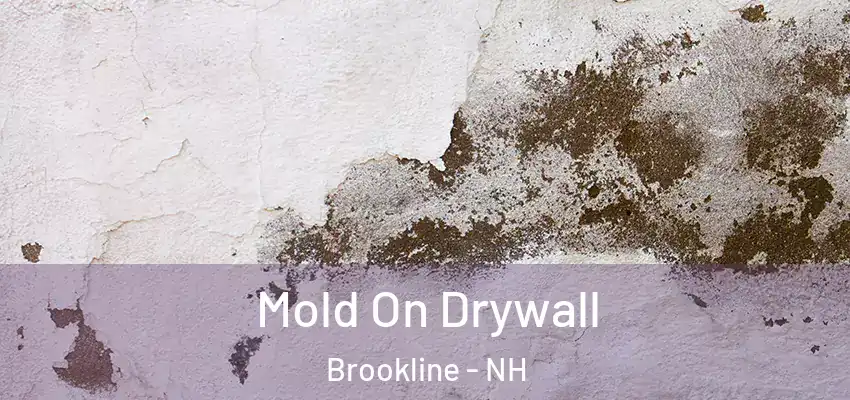 Mold On Drywall Brookline - NH