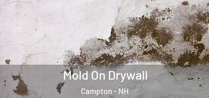  Mold On Drywall Campton - NH