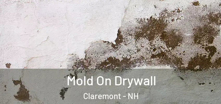Mold On Drywall Claremont - NH