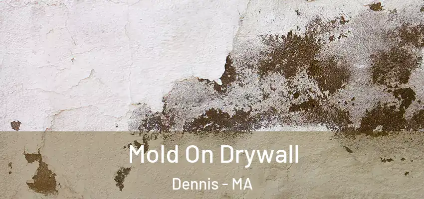  Mold On Drywall Dennis - MA