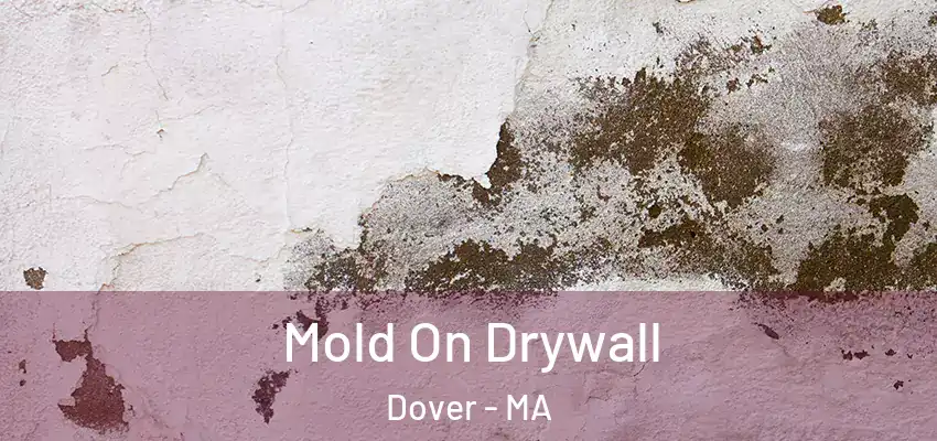  Mold On Drywall Dover - MA