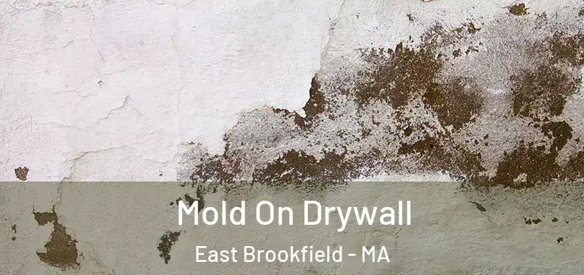 Mold On Drywall East Brookfield - MA