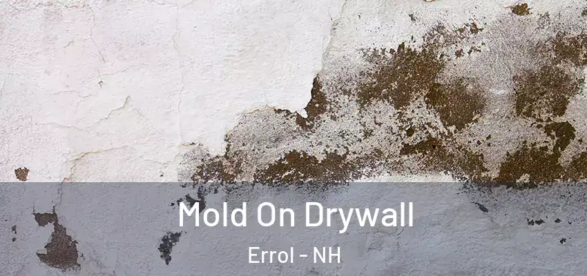  Mold On Drywall Errol - NH