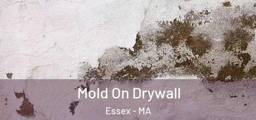  Mold On Drywall Essex - MA
