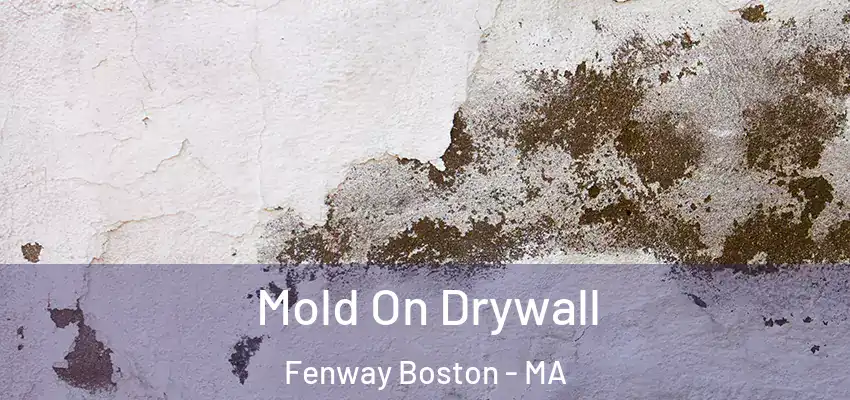 Mold On Drywall Fenway Boston - MA