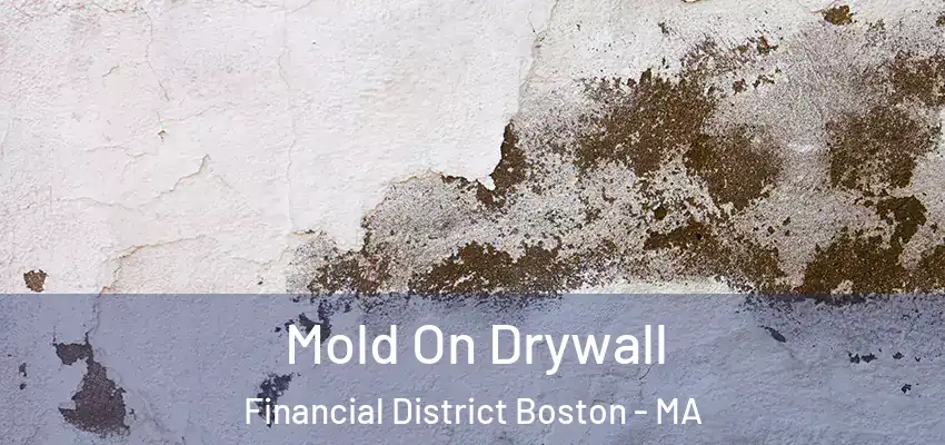  Mold On Drywall Financial District Boston - MA