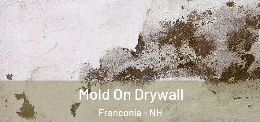  Mold On Drywall Franconia - NH
