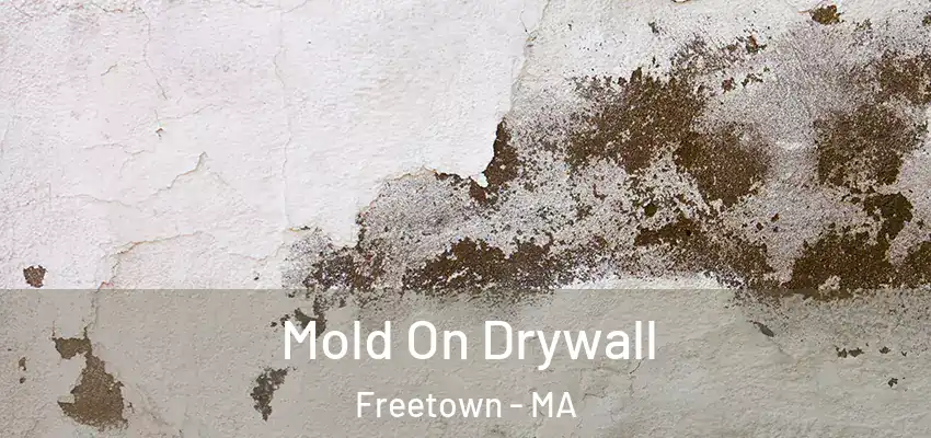  Mold On Drywall Freetown - MA