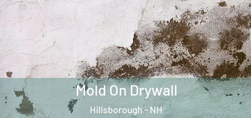 Mold On Drywall Hillsborough - NH