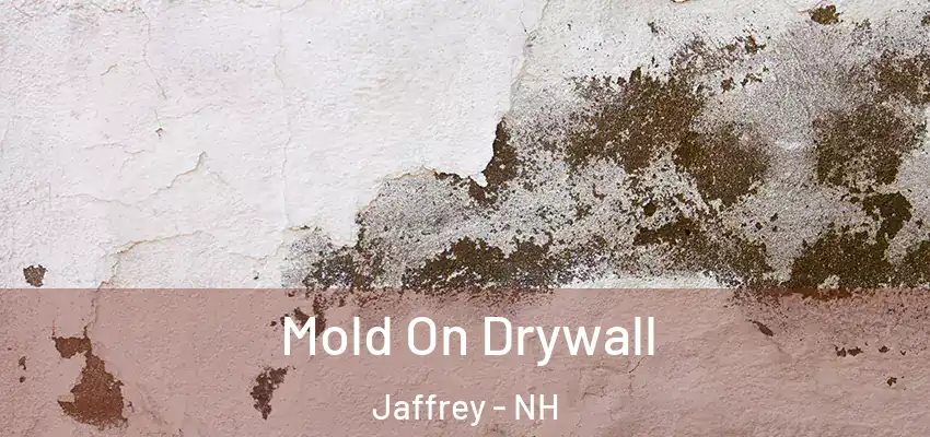 Mold On Drywall Jaffrey - NH