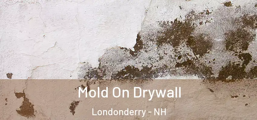 Mold On Drywall Londonderry - NH