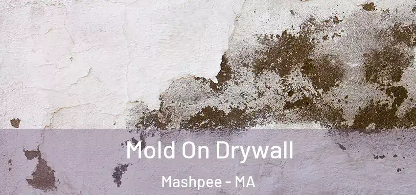 Mold On Drywall Mashpee - MA