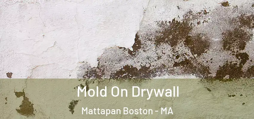 Mold On Drywall Mattapan Boston - MA