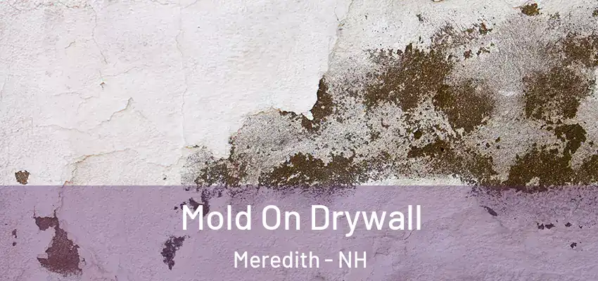 Mold On Drywall Meredith - NH